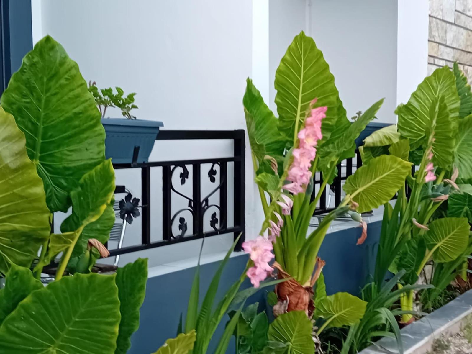Villa Allkushi Saranda Kültér fotó